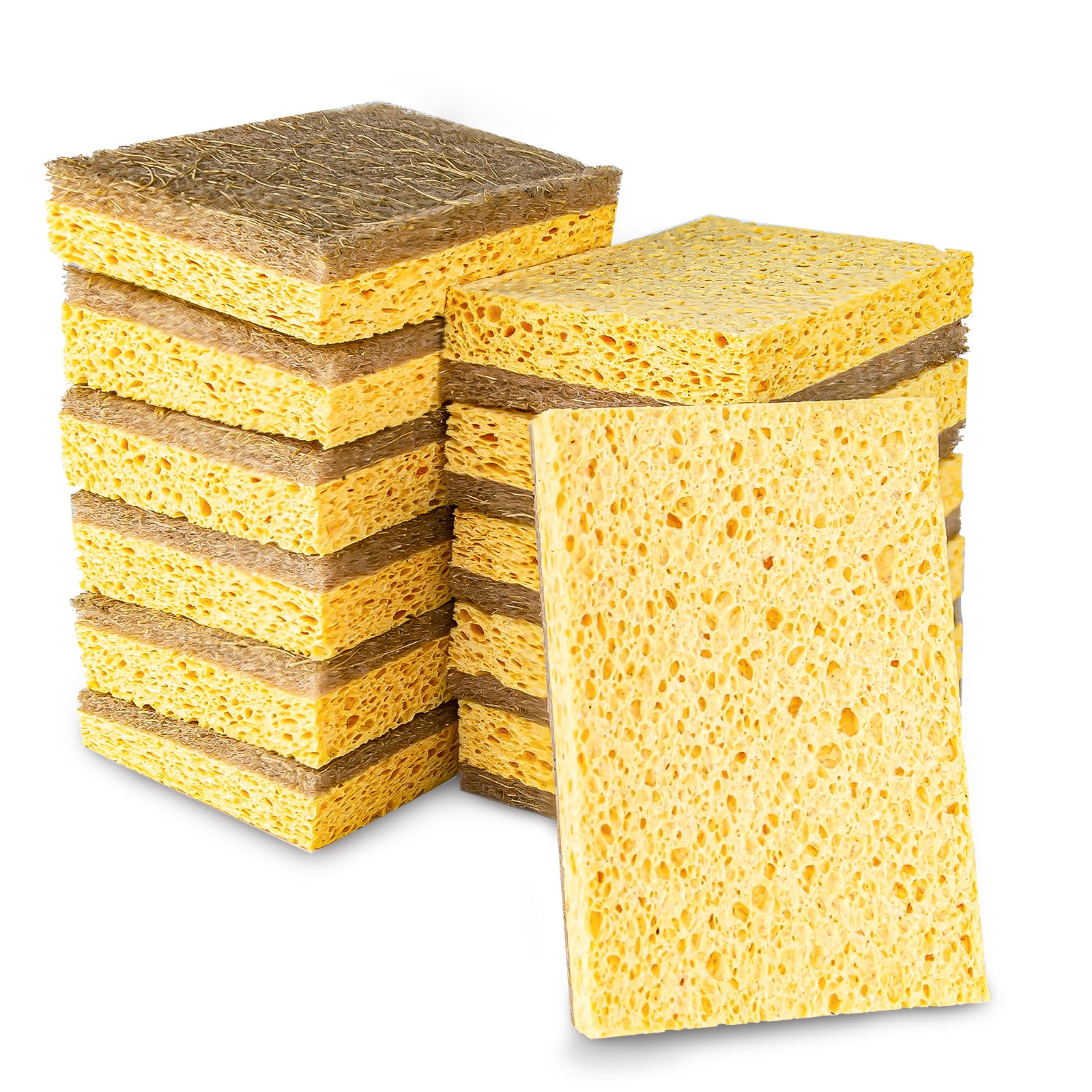 LUDA Non-Scratch Cellulose Household Kitchen Sponges, Dishes